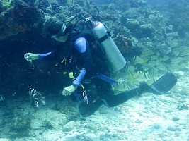Got one!  Dead Lionfish IMG 3033
